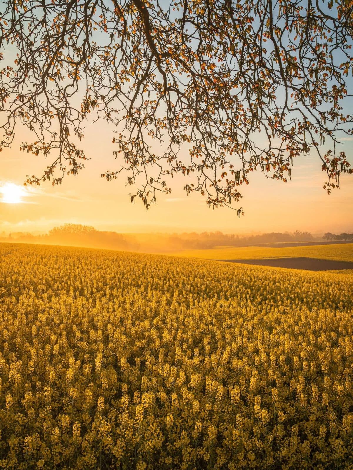 Provence, France